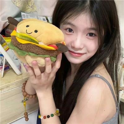 光荣之路上的狗